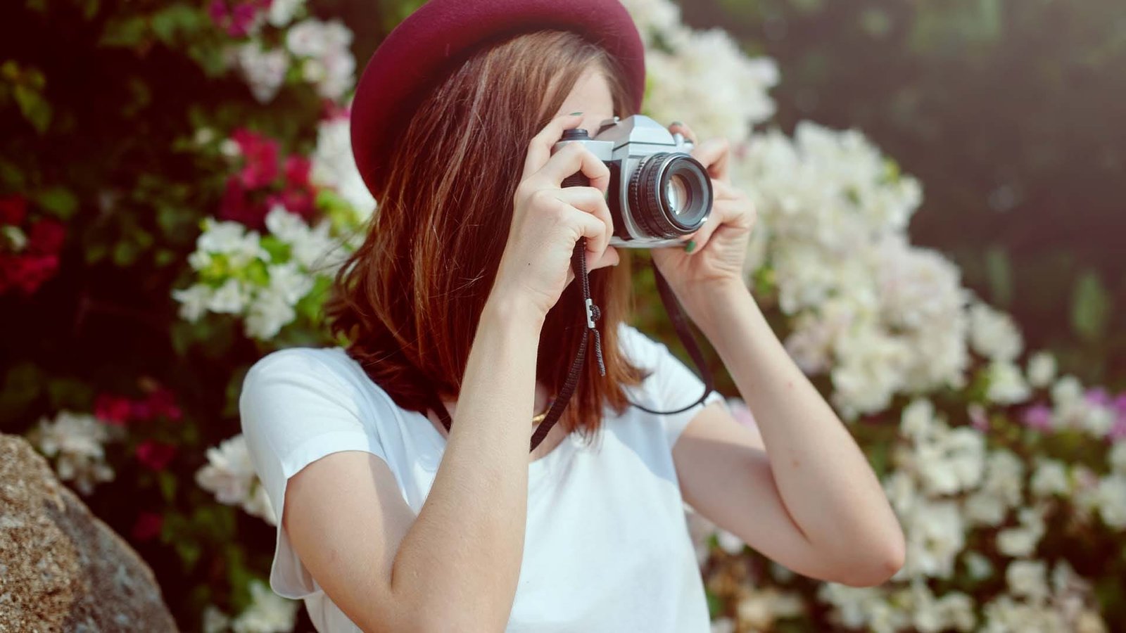 How to Photograph Giverny Like a Pro (Without Just Copying Monet)