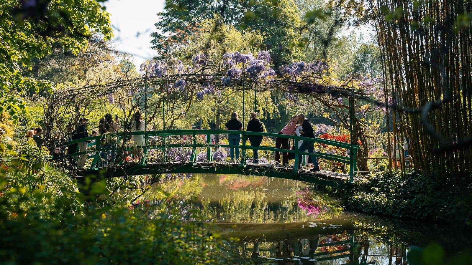 Plants and Trees in Monet’s Water Garden (Bassin Pond)