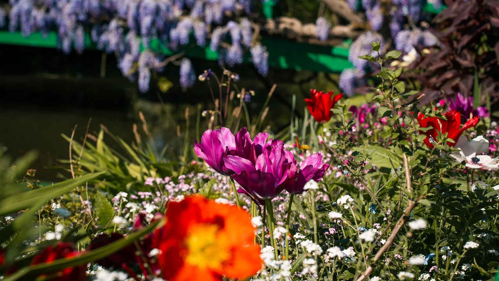 Spring Flowers by the Pond in Giverny