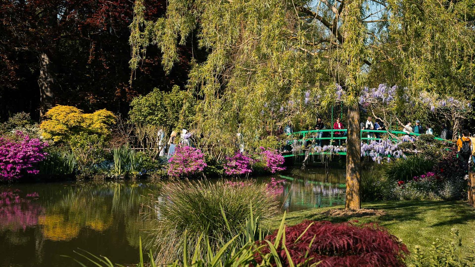 Trees around the Pond, Giverny